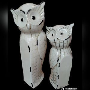 Antique Ivory Vintage Finish Ceramic Owls Set of 2